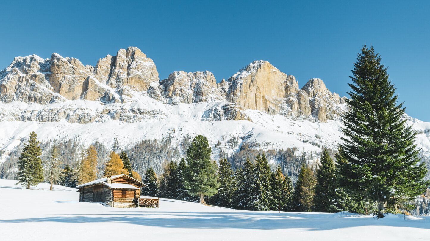 Catinaccio Inverno | © Carezza Dolomites/StorytellerLabs Catinaccio Inverno Alberi colorati Rifugio alpino | © Carezza Dolomites/StorytellerLabs