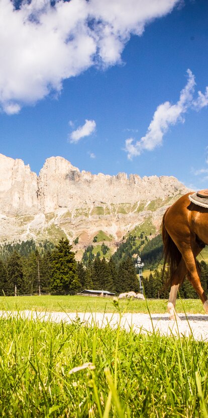 Equitazione Angerle Alm | © Eggental Tourismus/StorytellerLabs Equitazione per bambini Vista Catinaccio | © Eggental Tourismus/StorytellerLabs