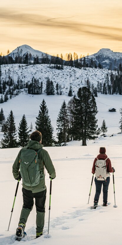 © Harald Wisthaler © Harald Wisthaler