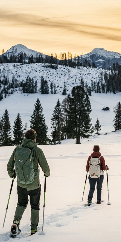 © Harald Wisthaler © Harald Wisthaler