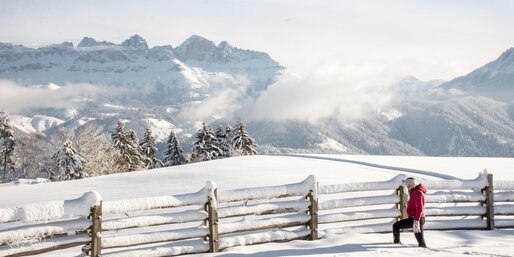 Rosengarten - Winter - Eggental | © Alexandra Näckler Winterwandern mit Blick auf Rosengarten | © Alexandra Näckler