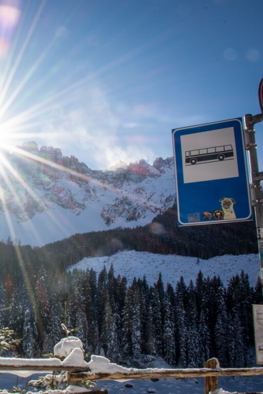 Bushaltestelle Karer See | © Alexandra Näckler Bushaltestelle Karer See - Winter | © Alexandra Näckler