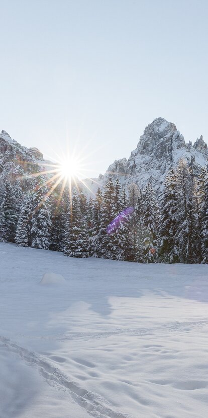 Wiese Schnee Almhütte Eggentaler Horn | © Obereggen Latemar AG/Günther Pichler