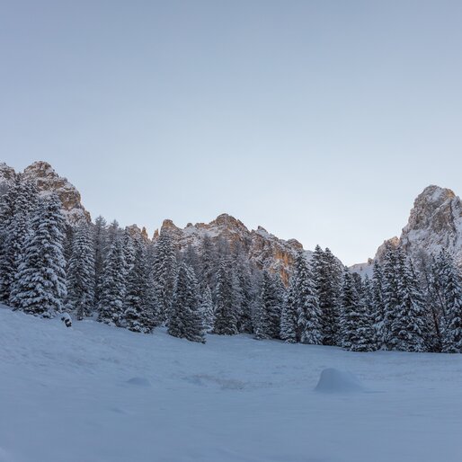 Latemar Winter Obereggen | © Günther Pichler Latemar Winter Obereggen | © Günther Pichler