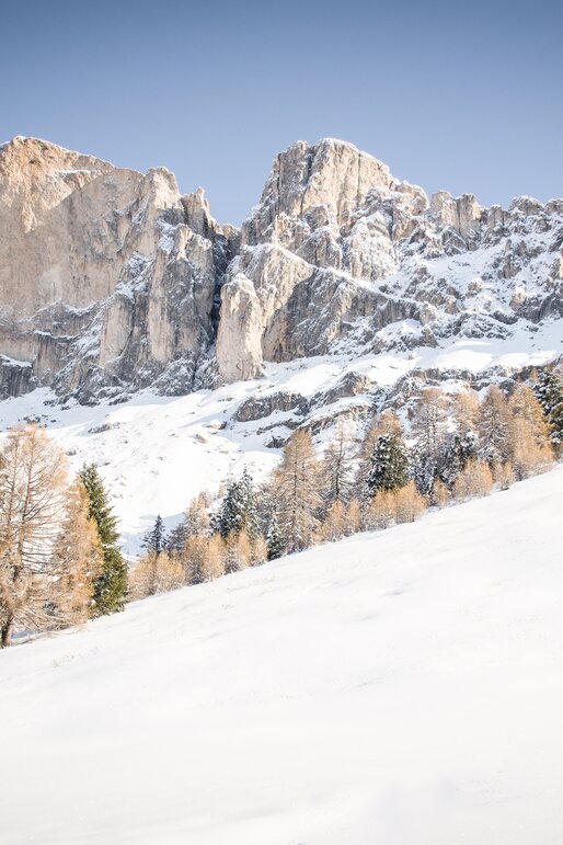 Rotwand Winter | © Alexandra Näckler Neuschnee Rotwand | © Alexandra Näckler