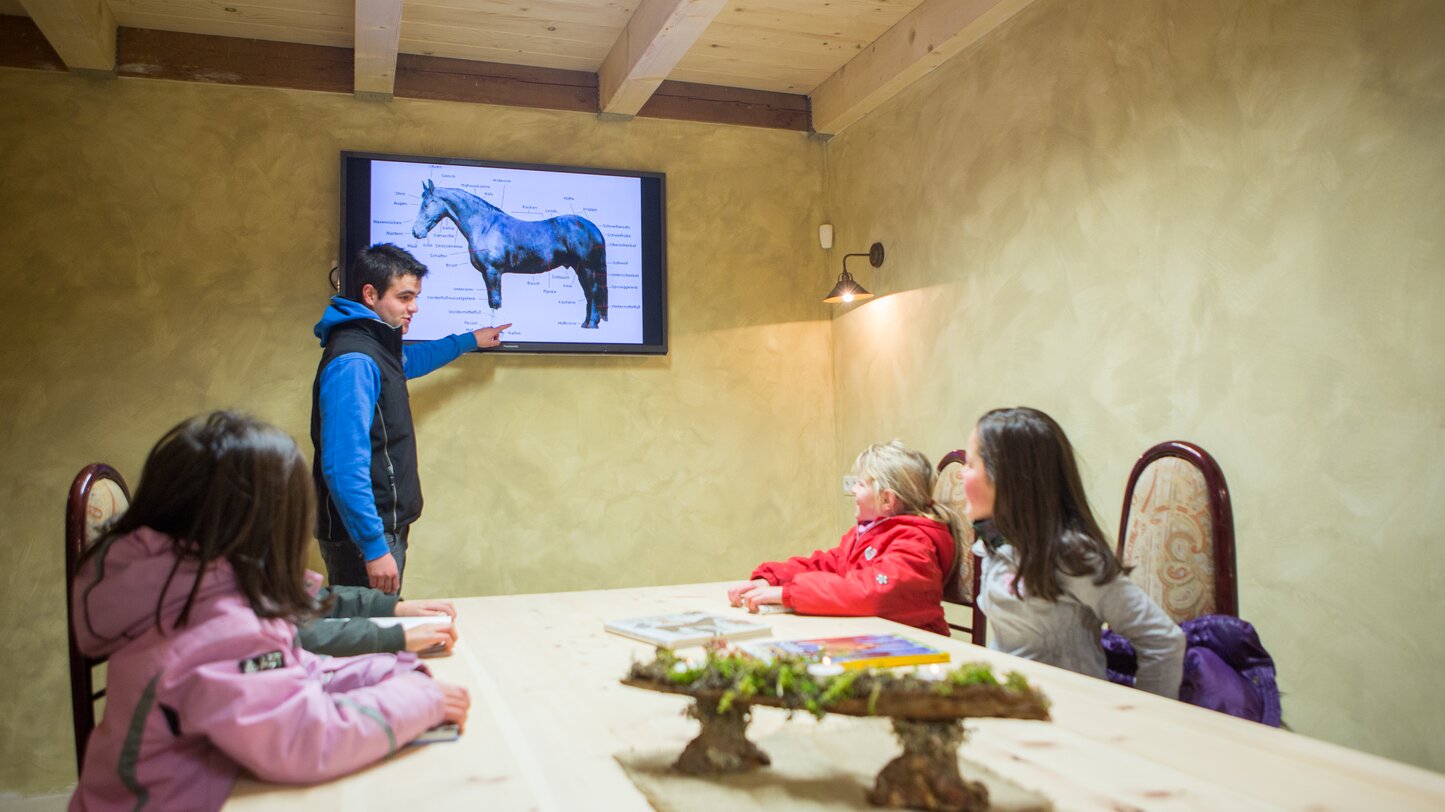 Bildschirm, Anatomie des Pferdes, Kinderunterricht | © Angerle Alm