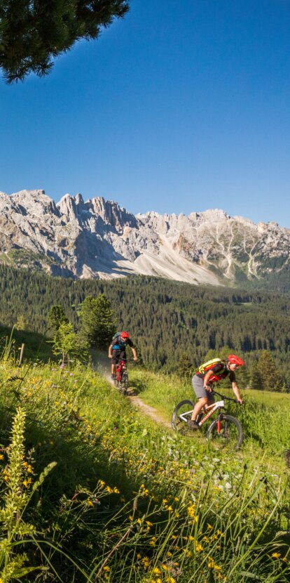 MTB Eggental Dolomiten | © Jens Staudt Mountainbiker Abfahrt Hintergrund Latemar | © Jens Staudt
