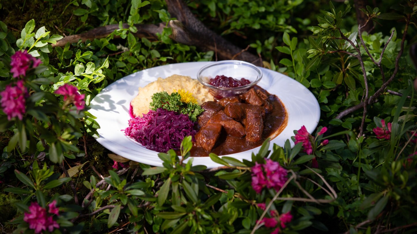 Kulinarische Spezialitätenwochen Wild & Wald | © Günther Pichler Wildgulasch mit Blaukraut und Polenta | © Günther Pichler