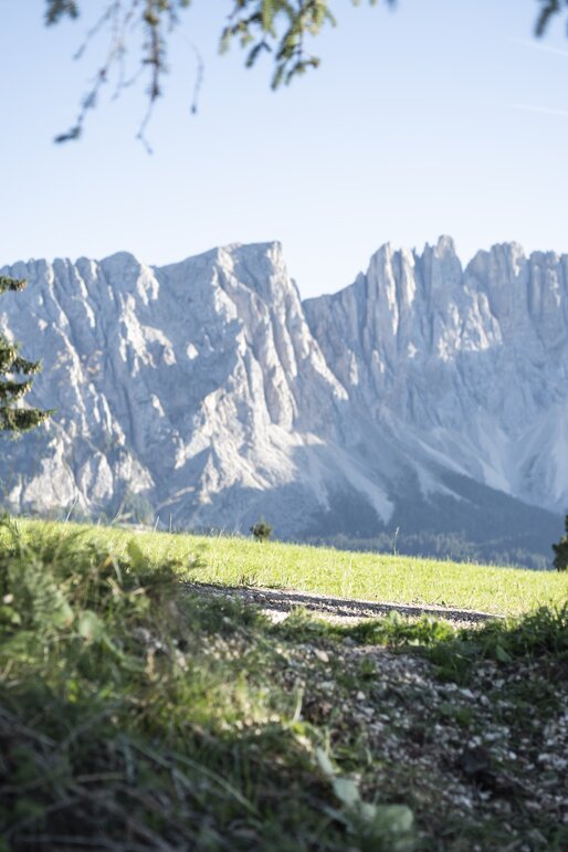 Hiking - Frin - Eggental | © Alex Filz Hiking in autumn with view on the Latemar mountain | © Alex Filz