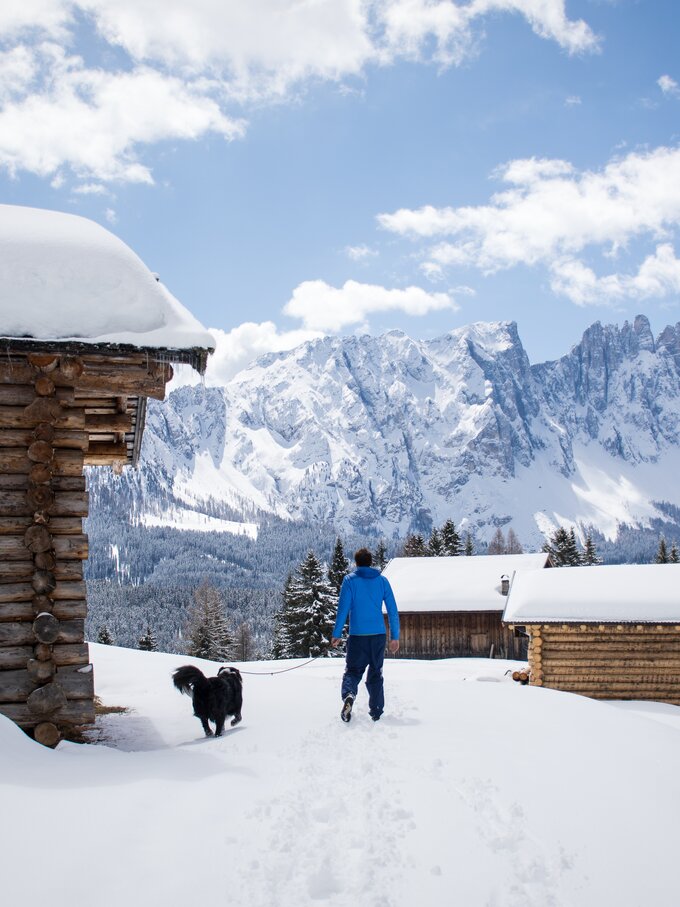 Wandern mit Hund Winter | © Alexandra Näckler Wandern Hund Winter Latemar | © Alexandra Näckler
