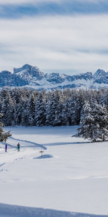 Deutschnofen cross-country skiing trails | © Clicktext Cross-country skiing Deutschnofen snowy Rosengarten | © Clicktext