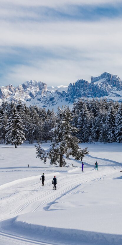 Deutschnofen cross-country skiing trails | © Clicktext Cross-country skiing Deutschnofen snowy Rosengarten | © Clicktext