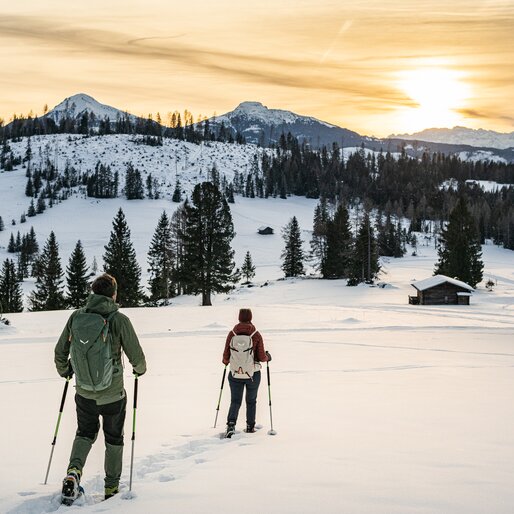 © Harald Wisthaler © Harald Wisthaler