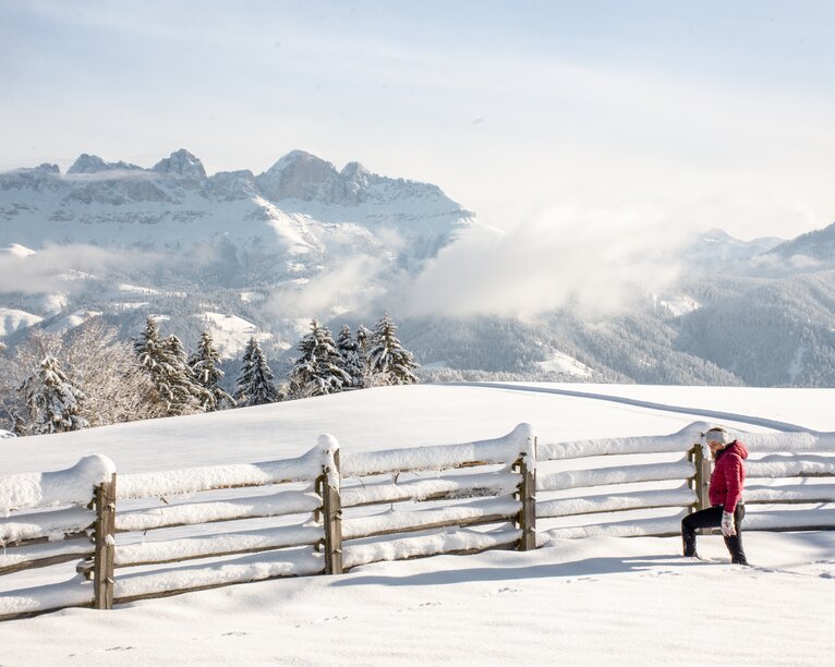 Rosengarten - Winter - Eggental | © Alexandra Näckler Winter hiking with view to the Rosengarten | © Alexandra Näckler