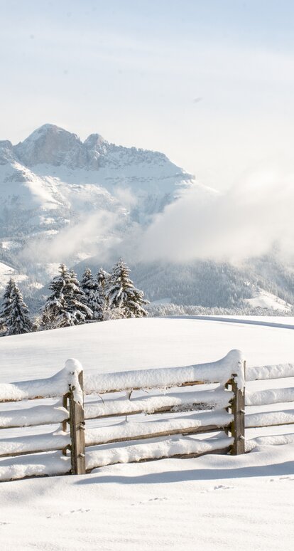 Rosengarten - Winter - Eggental | © Alexandra Näckler Winter hiking with view to the Rosengarten | © Alexandra Näckler