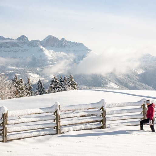 Rosengarten - Winter - Eggental | © Alexandra Näckler Winterwandern mit Blick auf Rosengarten | © Alexandra Näckler